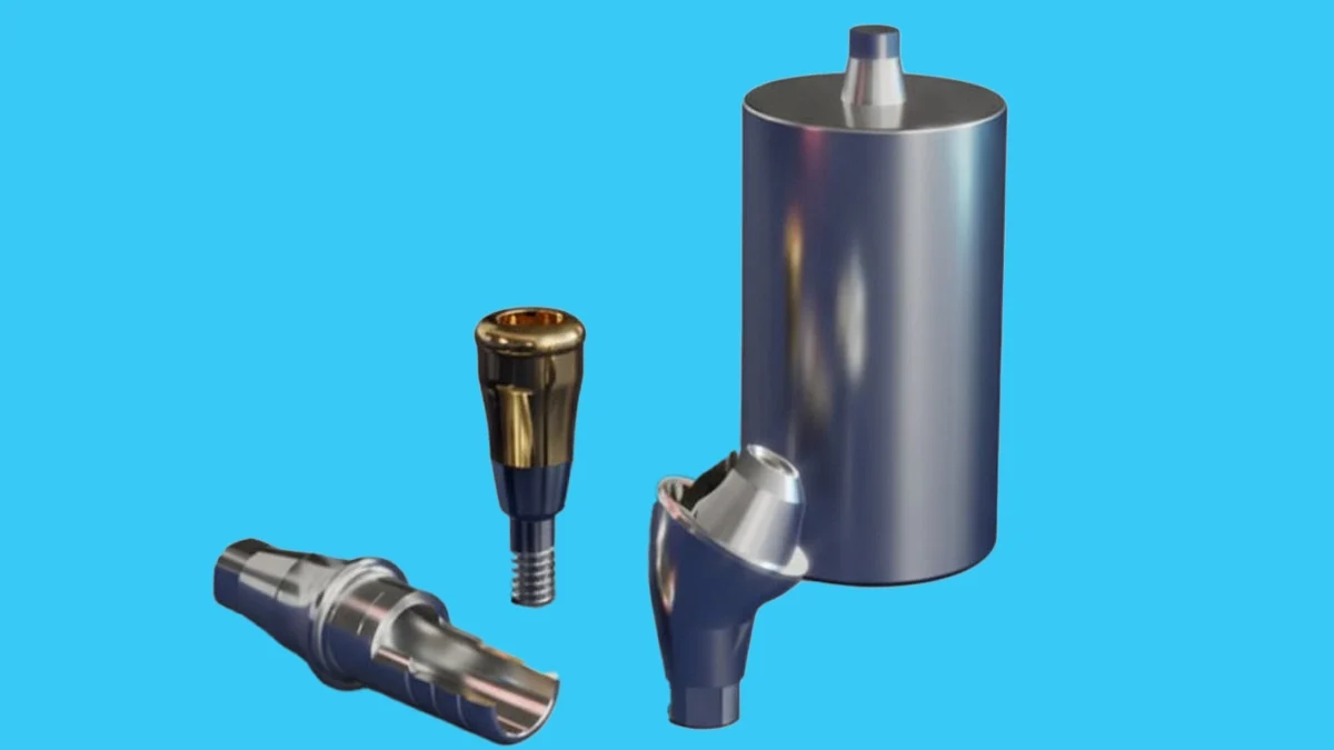 Prosthetic Components Used in the Dental Implant Process