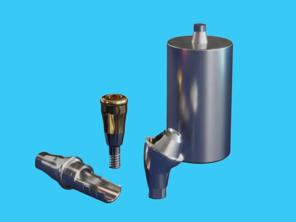 Prosthetic Components Used in the Dental Implant Process